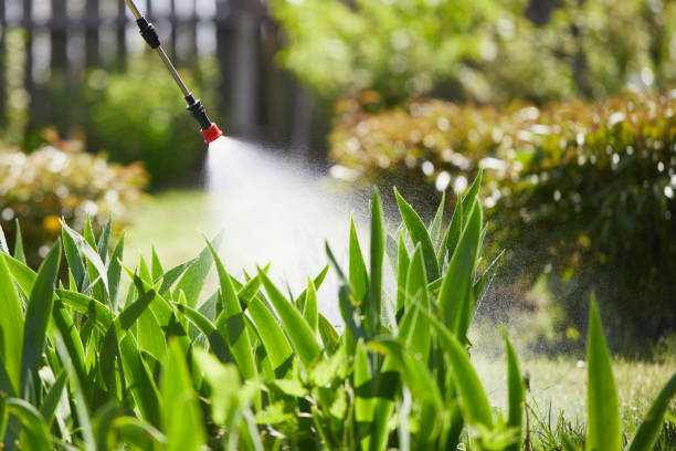 Tamper-Resistant Bait Stations for Rodents in Coldwater