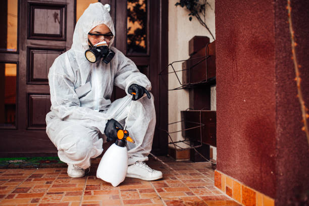 Attic and Crawl Space Rodent Treatment in Coldwater